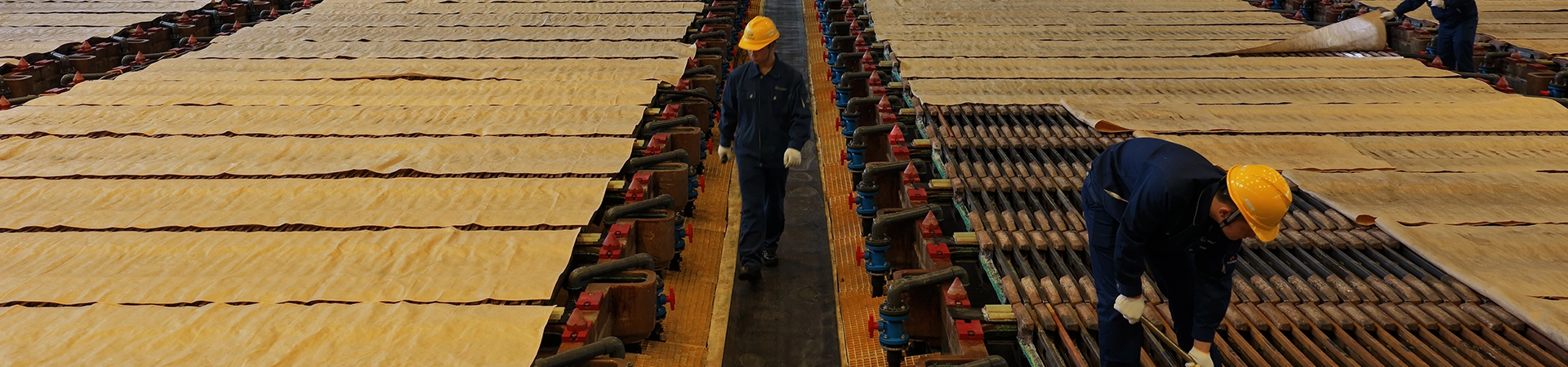 BWIN·必赢(中国)唯一官方网站