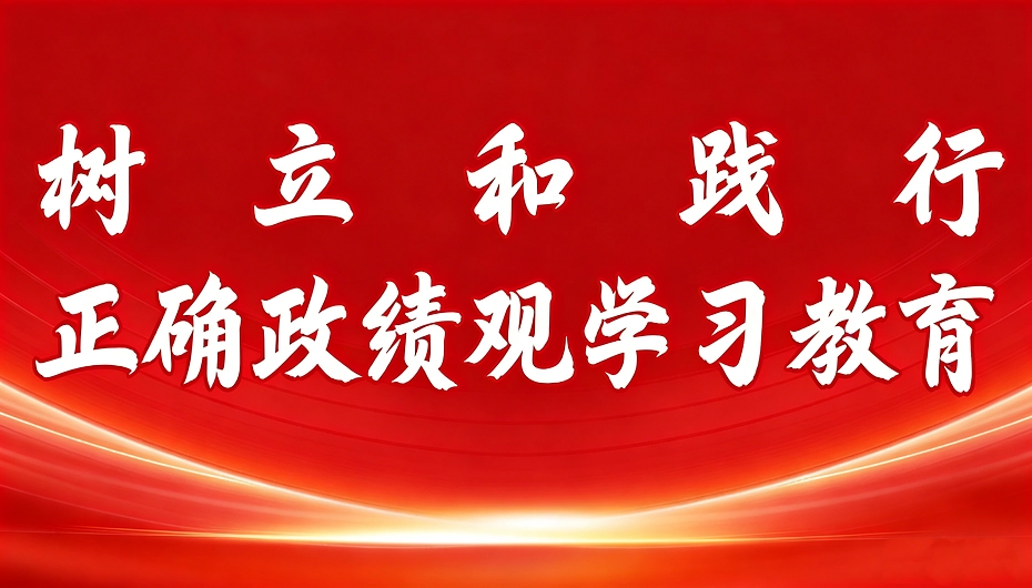 习近平：树立和践行准确政绩观